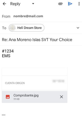 Ejemplo de cómo debe de ir tu correo